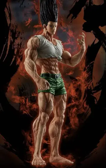 제일복권 헌터헌터 HUNTER x HUNTER 라스트 원상 곤~성장