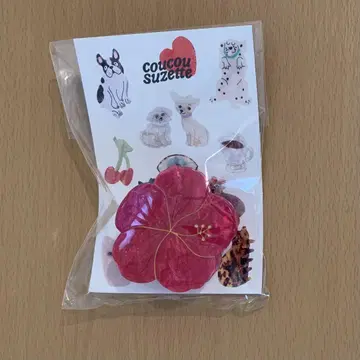 쿠쿠슈 제트 헤어 클립 하이비스커스