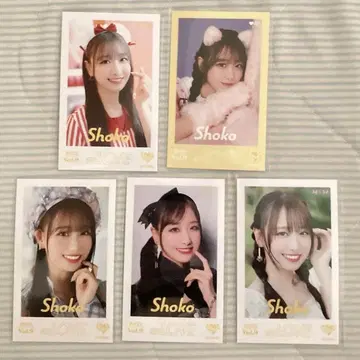 이코럽 타키와키 쇼 고양이 미니 사진 레어 고양이 의상