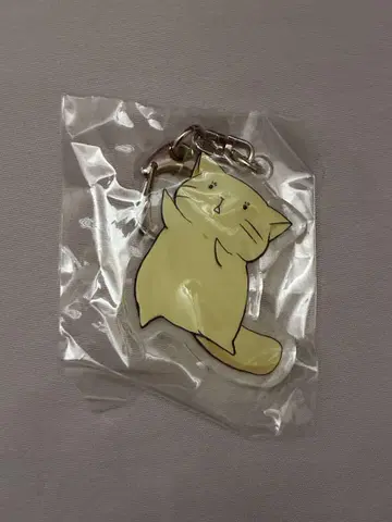 니시 오사무 데비페스 키링