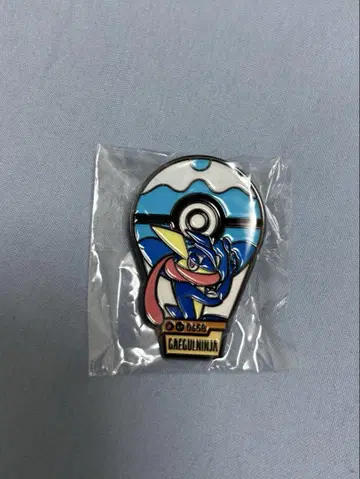 한국 한정판 롯데월드 포켓몬타운 핀 배지 개굴닌자