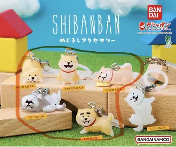 SHIBANBAN 메지루시 액세서리 5종 세트