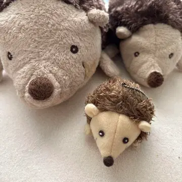 딘펠 선 애로우 모리 고슴도치 봉제 인형 세트 M/S/키링