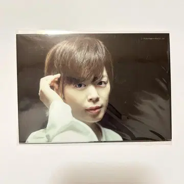 이치카와 소 브로마이드