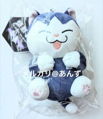 호시나 고양이 호시나 소우시로 봉제 인형 마스코트