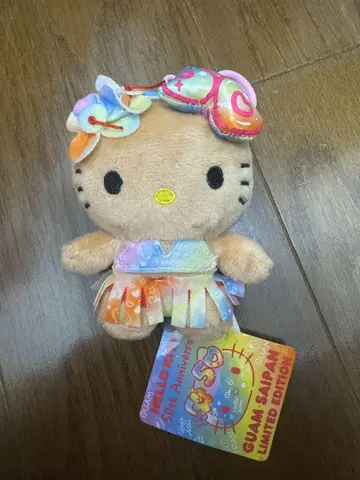 일광화상 키티