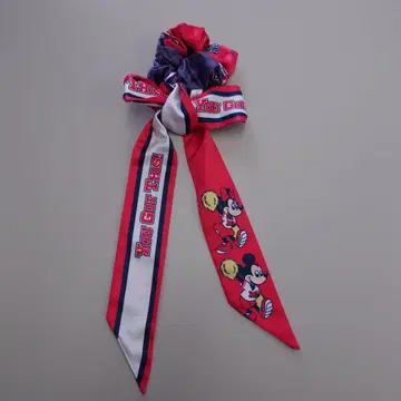 디즈니 치어 투 개더 스크런치