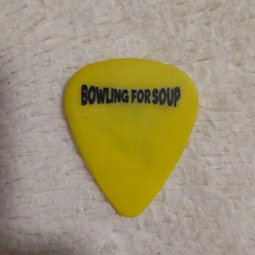 BOWLING FOR SOUP 투어 피크