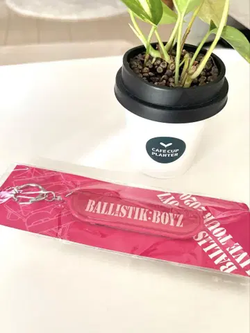BALLISTIK BOYZ 스케이트보드 키링 핑크
