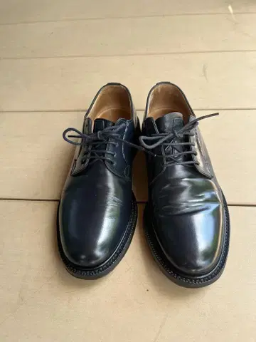 Church's SHANNON 50G