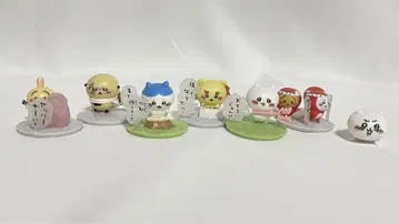 치이카와 초코 사프