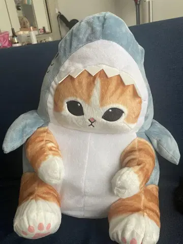 고양이와 상어 봉제 인형