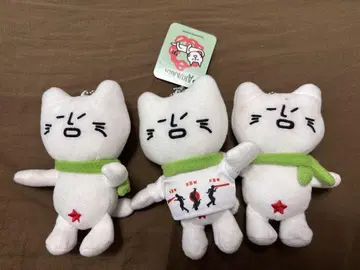 아르카 부서진 고양이 봉제 인형 캐릭터 3체 세트