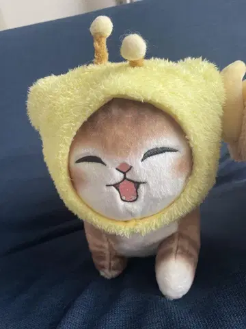 고양이 봉제 인형 3종 세트