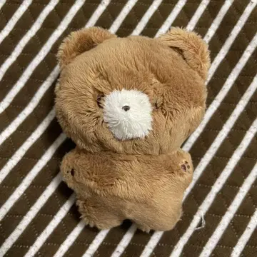 BOYNEXTDOOR 운학 보넥도 보넥도 10cm 봉제 인형