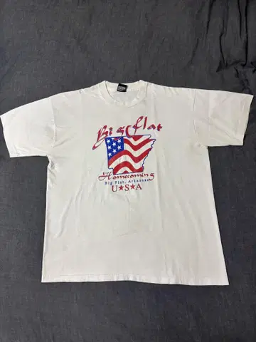 80~90s USA제 프룻 오브 더 룸 티셔츠