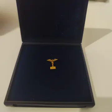 초레어 핑배지 루마니아 Vip용