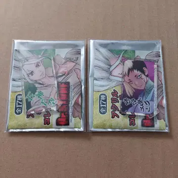 Dr.STONE 아크릴 캐릭터 컬렉션 이시가미 센쿠 아사기리 겐
