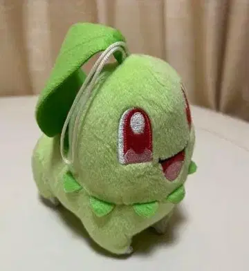 치코리타 봉제 인형 APRESTO