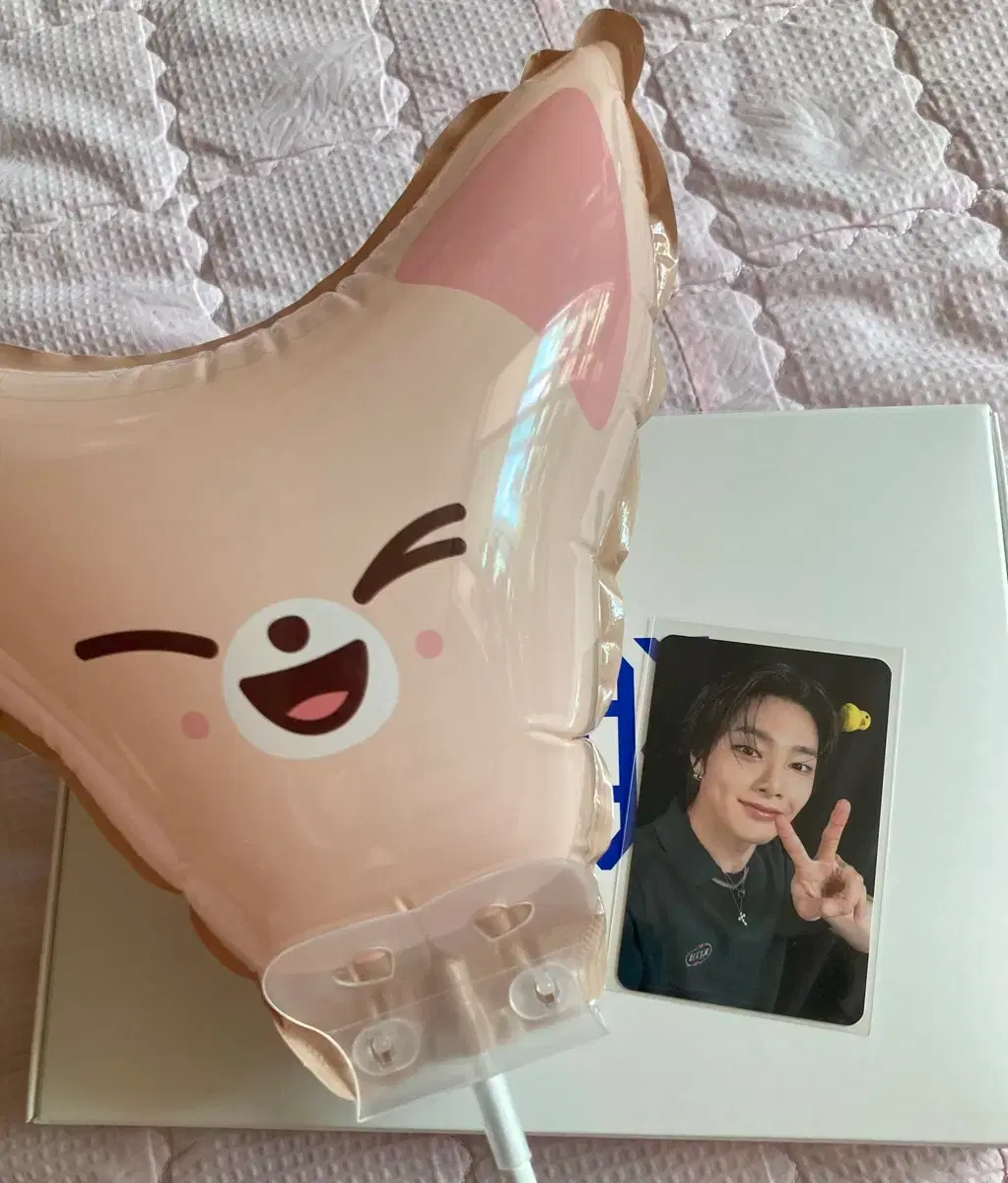 Stray Kids I.N Karma Pop Up Week 1 Ld + Foxy Nini Balloon