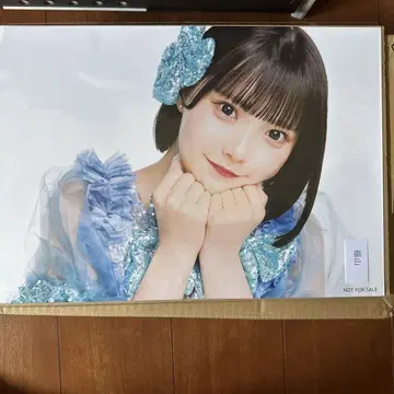 아이돌 포트레이트 대형 파란색