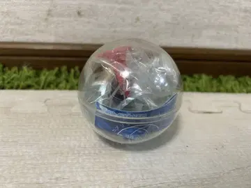 도바 수족관 카프리움 컬렉션 랏코