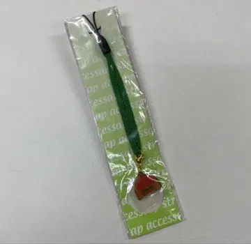 테이엠 오페라오 액세서리 스트랩