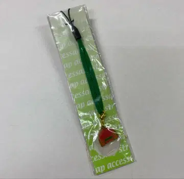 테이엠 오페라오 액세서리 스트랩