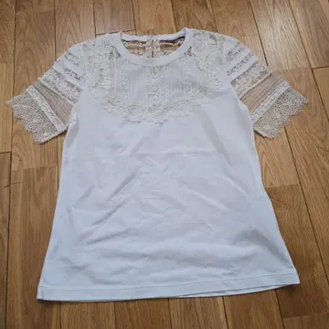 에르마노 쉘비노의 상의