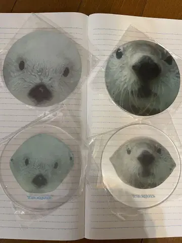 랏코의 메이짱 키라짱 코스터 4장 세트 TUBA AQUARIUM