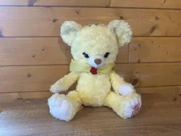 UniBEARsity 루즈 로즈