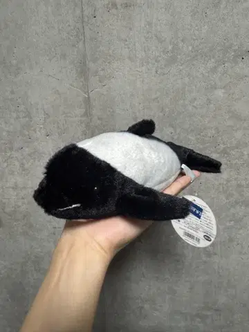커먼돌고래 봉제 인형 토바 수족관