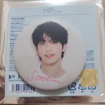 TXT Summer Together 수빈 캔뱃지