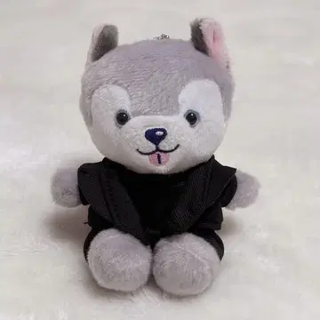 SixTONES 마츠무라 호쿠토 앉은 봉제 인형 토리이누