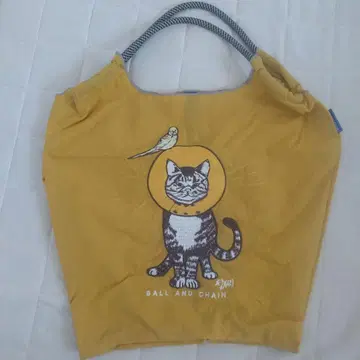 폴앤체인
