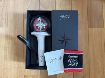 STAY OFFICIAL LIGHT STICK VER.2