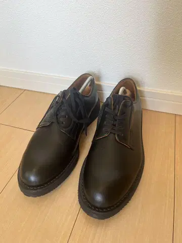 Danner Postman