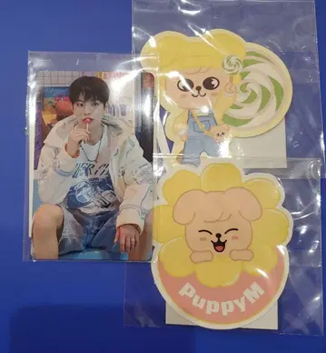 StrayKids KARMA 승민 JYP 혜택