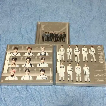Snow Labo. S2 3 형태