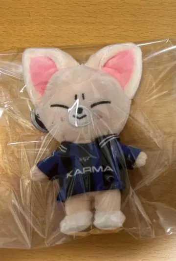 KARMA SKZOOver. 아이엔 폭시니