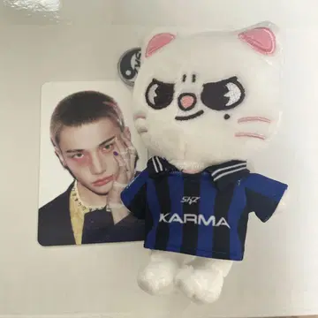 StrayKids KARMA SKZOO 키링 지니레트 봉입 트레이딩 카드