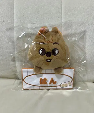 straykids SKZ TOYWORLD 네임 배지 참 한쿼카