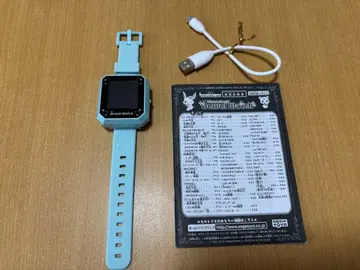 주얼펫 Jewel Watch 아쿠아 블루