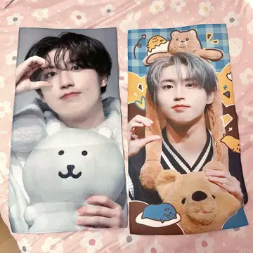 straykids 스키즈 한 슬로우건 stray kids 한지성