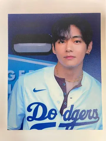 BTS V 캔버스 패널