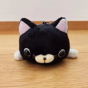 다라모후 씨 검은 고양이 레어