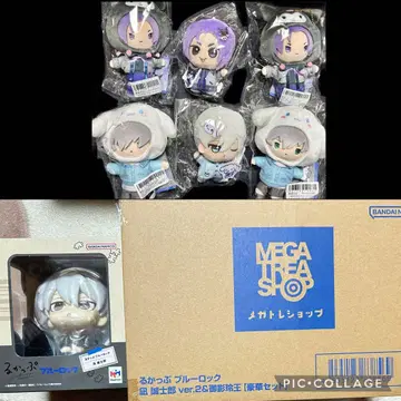 블루 록 룩업 산리오 SD 인형 봉제 인형 나기 세이시로 미카게 레오