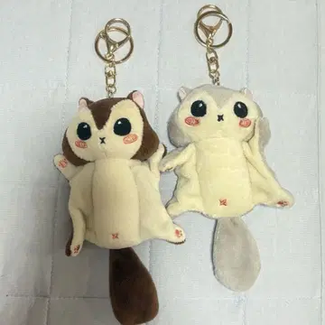 플라잉 슈가글라이더 봉제 인형 키링