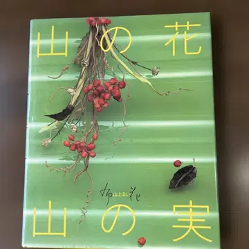 산의 꽃 산의 열매 산에 오르다