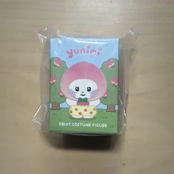 zeroni yunini 유진 fruit costume figure